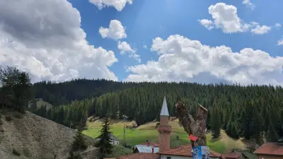Кметство Черешово