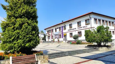 Кметство Добринище