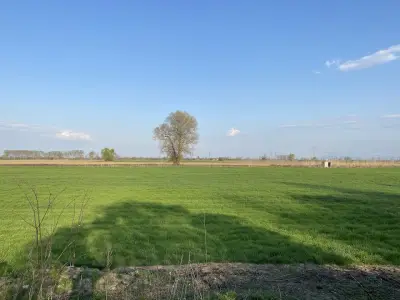 Кметство Катуница
