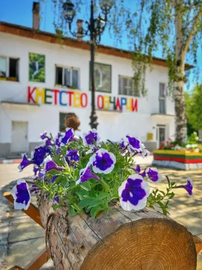 Кметство Овчарци