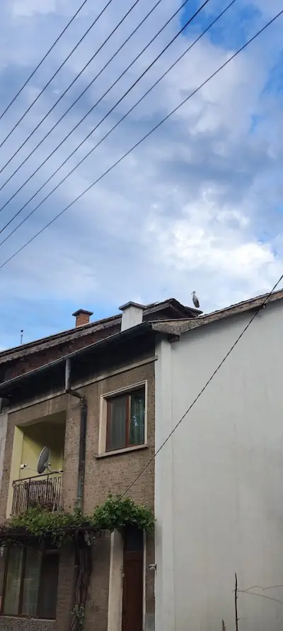 Кметство Брежани