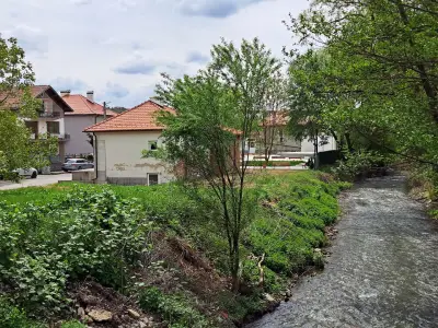 Кметство Елешница