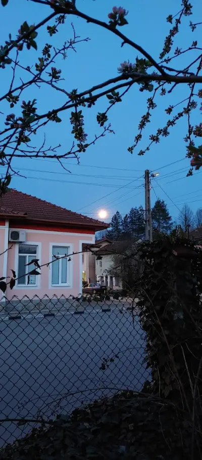 Кметство Осиковица