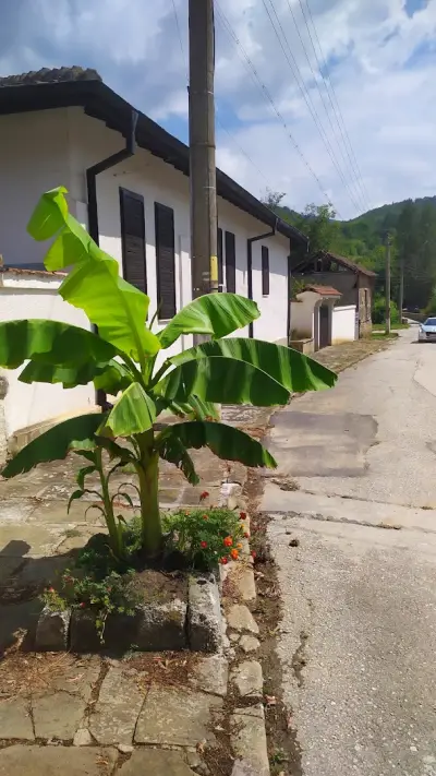 КМЕТСТВО БОЖЕНИЦА