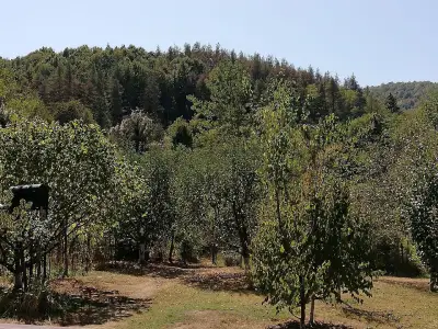 Кметство Калугерово
