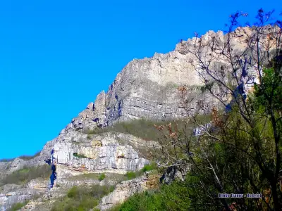 КМЕТСТВО ОПЛЕТНЯ