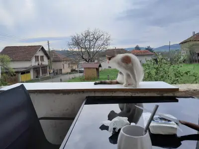 Кметство Замфирово