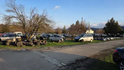 Автоморга Шемшево