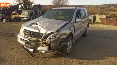 Автоморга Колев