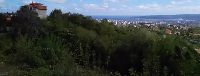 ОРЛИНКАР