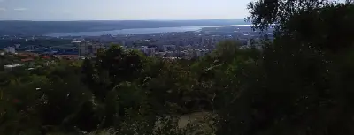 ОРЛИНКАР