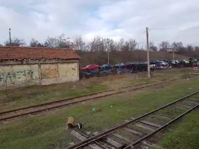 Автоморга Детелина