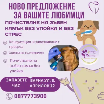 Почистване на зъбен камък