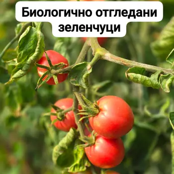 Зеленчуци от местни производители