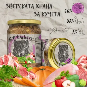 Бурканите
